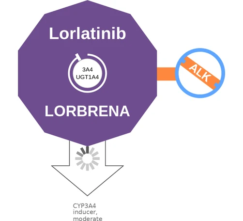 Lorlatinib ballicule — decagon mechanism diagram