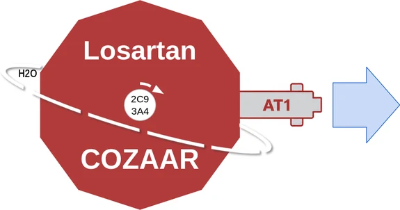 Losartan ballicule — decagon mechanism diagram