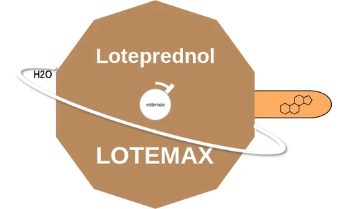 Loteprednol ballicule — decagon mechanism diagram