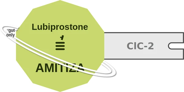 Lubiprostone ballicule: receptor binding, kinetics and half-life diagram