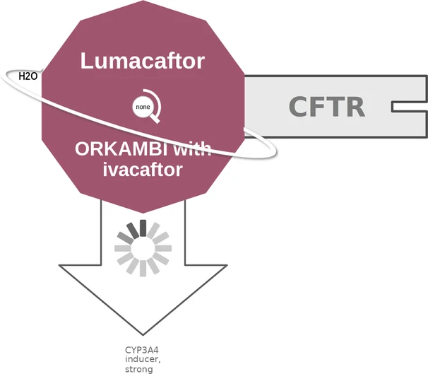 Lumacaftor ballicule — decagon mechanism diagram