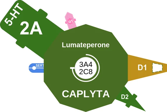 Lumateperone ballicule — decagon mechanism diagram