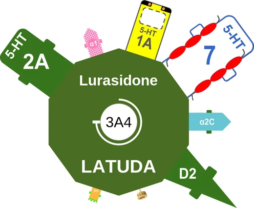 Lurasidone ballicule: receptor binding, kinetics and half-life diagram