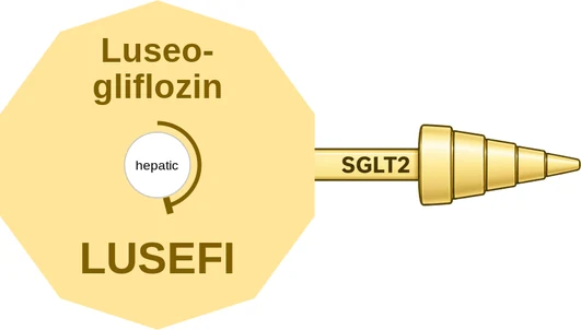 Luseogliflozin ballicule: receptor binding, kinetics and half-life diagram