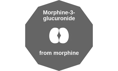 Morphine-3glucuronide ballicule: receptor binding, kinetics and half-life diagram