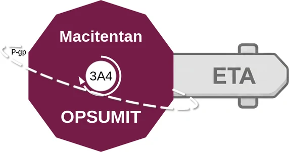 Macitentan ballicule: receptor binding, kinetics and half-life diagram