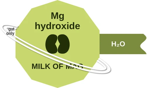Mg hydroxide ballicule: receptor binding, kinetics and half-life diagram