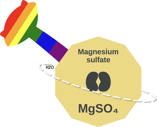 Magnesium sulfate ballicule: receptor binding, kinetics and half-life diagram