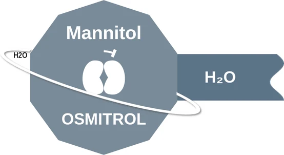 Mannitol ballicule: receptor binding, kinetics and half-life diagram