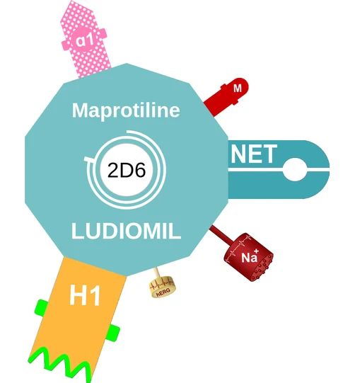 Maprotiline ballicule: receptor binding, kinetics and half-life diagram
