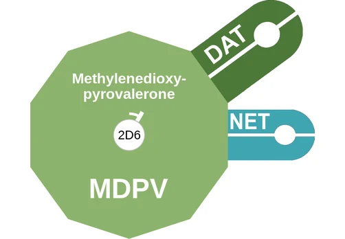 MDPV ballicule — decagon mechanism diagram