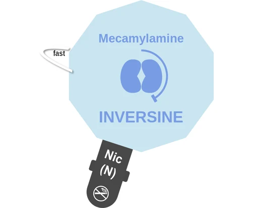 Mecamylamine ballicule — decagon mechanism diagram