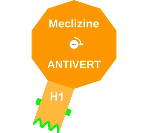 Meclizine ballicule — decagon mechanism diagram