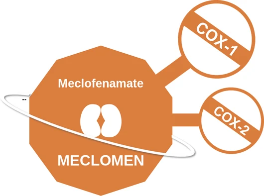 Meclofenamate ballicule — decagon mechanism diagram