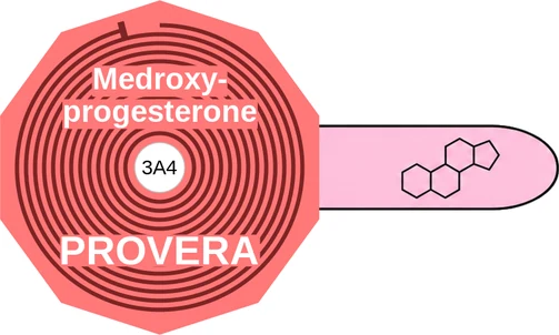 Medroxy progesterone ballicule: receptor binding, kinetics and half-life diagram