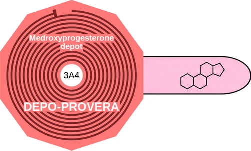Medroxyprogesterone depot ballicule — decagon diagram of its receptor and enzyme targets