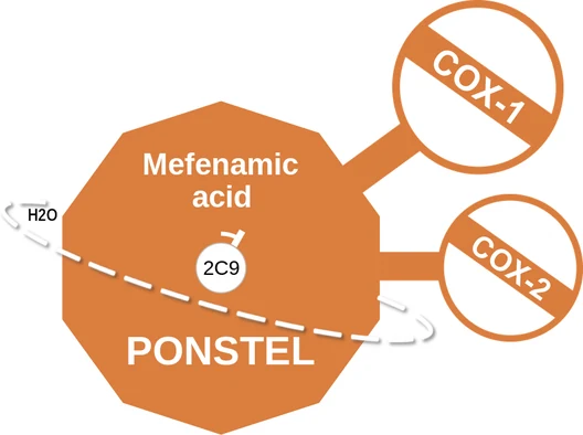 Mefenamic acid ballicule: receptor binding, kinetics and half-life diagram
