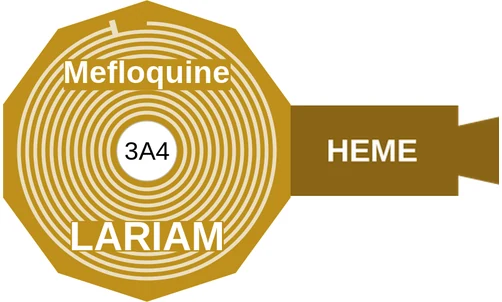 Mefloquine ballicule — decagon mechanism diagram