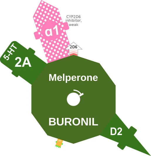 Melperone ballicule: receptor binding, kinetics and half-life diagram