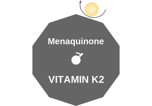 Menaquinone ballicule: receptor binding, kinetics and half-life diagram