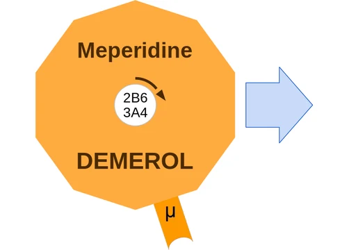 Meperidine ballicule — decagon mechanism diagram