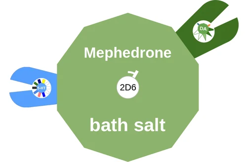 Mephedrone ballicule: receptor binding, kinetics and half-life diagram