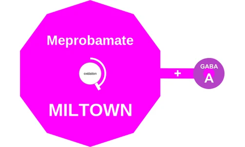 Meprobamate ballicule: receptor binding, kinetics and half-life diagram