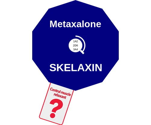 Metaxalone ballicule: receptor binding, kinetics and half-life diagram
