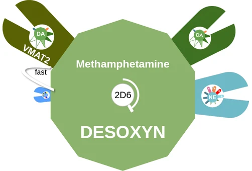 Methamphetamine ballicule: receptor binding, kinetics and half-life diagram