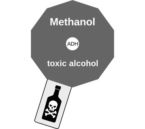 Methanol ballicule: receptor binding, kinetics and half-life diagram