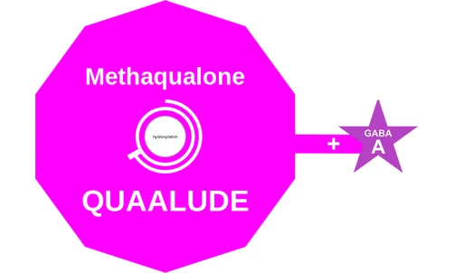 Methaqualone ballicule — decagon mechanism diagram