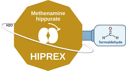 Methenamine hippurate ballicule — decagon mechanism diagram