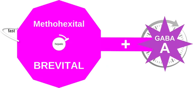Methohexital ballicule — decagon mechanism diagram