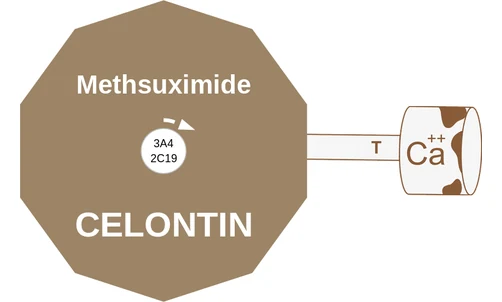 Methsuximide ballicule — decagon mechanism diagram