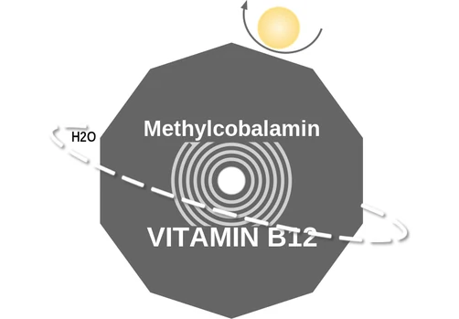 Methylcobalamin ballicule: receptor binding, kinetics and half-life diagram