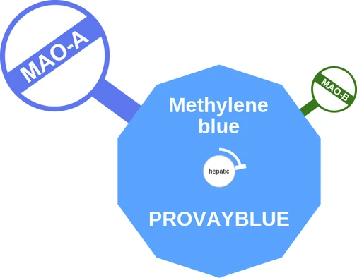 Methylene blue ballicule: receptor binding, kinetics and half-life diagram
