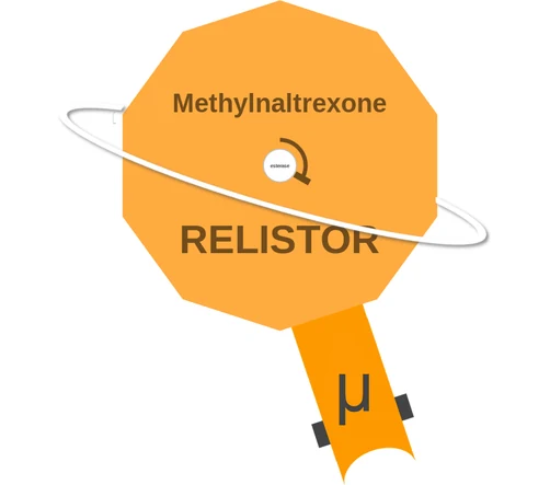 Methylnaltrexone ballicule: receptor binding, kinetics and half-life diagram