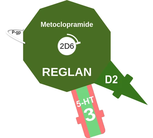 Metoclopramide ballicule — decagon mechanism diagram