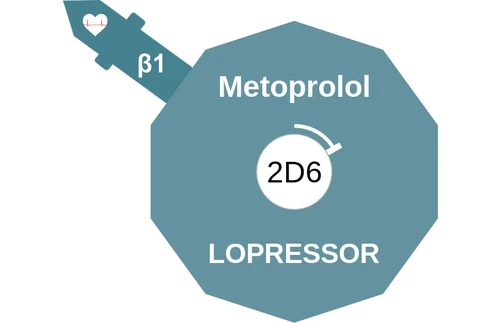Metoprolol ballicule — decagon mechanism diagram