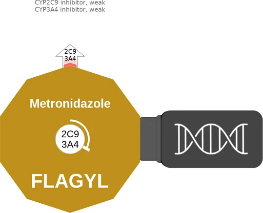 Metronidazole ballicule — decagon mechanism diagram