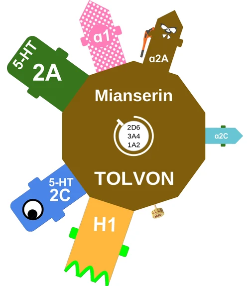 Mianserin ballicule — decagon mechanism diagram