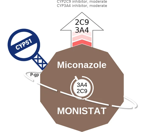 Miconazole ballicule — decagon mechanism diagram