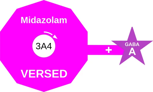 Midazolam ballicule: receptor binding, kinetics and half-life diagram