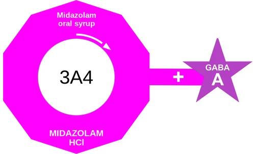 Midazolam oral syrup ballicule: receptor binding, kinetics and half-life diagram