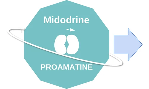 Midodrine ballicule: receptor binding, kinetics and half-life diagram
