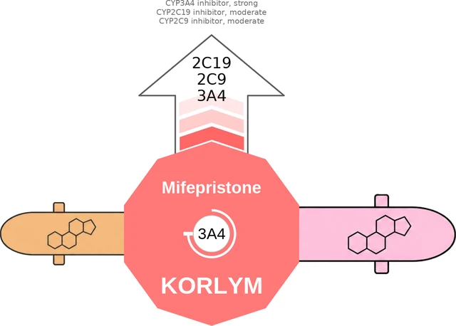 Mifepristone ballicule — decagon mechanism diagram