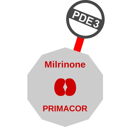 Milrinone ballicule: receptor binding, kinetics and half-life diagram