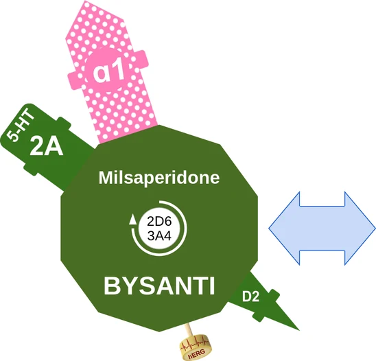 Milsaperidone ballicule: receptor binding, kinetics and half-life diagram