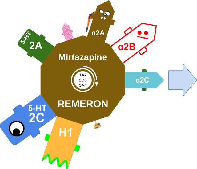 Mirtazapine ballicule — decagon mechanism diagram