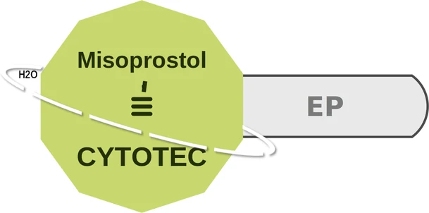 Misoprostol ballicule — decagon mechanism diagram